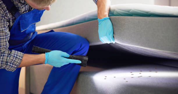 Best Best Pest Control Companies  in Santa Ana Pueblo, NM