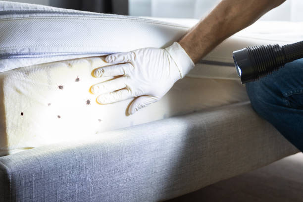 Best Affordable Pest Control Services  in Santa Ana Pueblo, NM