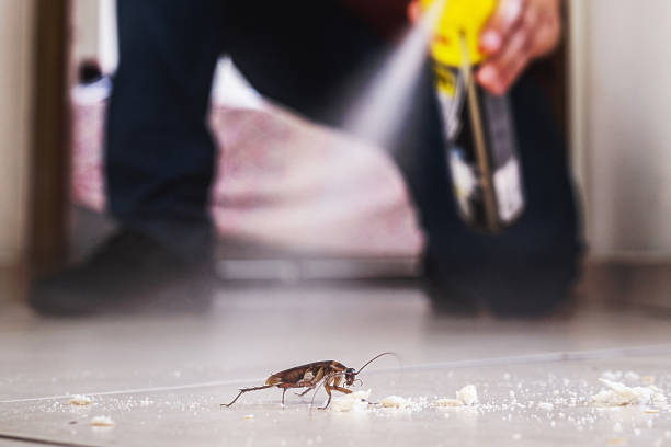 Best Exterminator Services  in Santa Ana Pueblo, NM