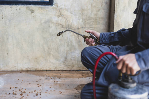 Best Affordable Pest Control Services  in Santa Ana Pueblo, NM